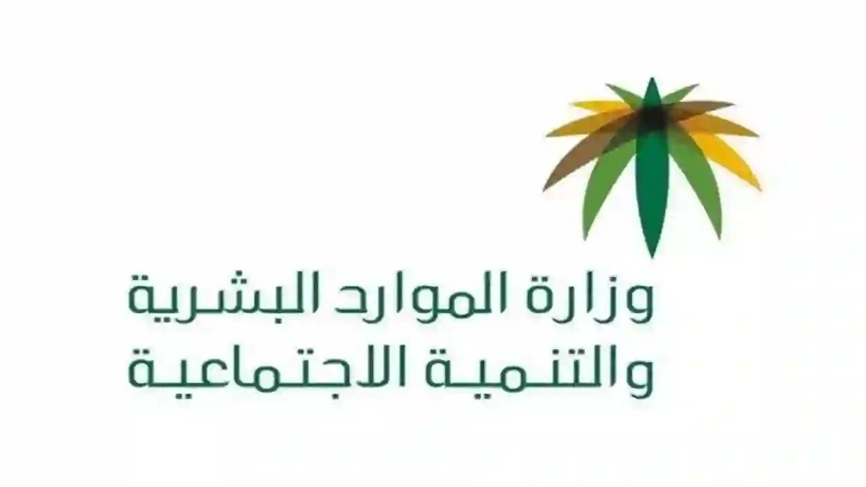 الموارد البشرية تطلب من كل كفيل عنده عمالة منزلية سرعة إتخاذ هذا الاجراء قبل فرض غرامات عليه 