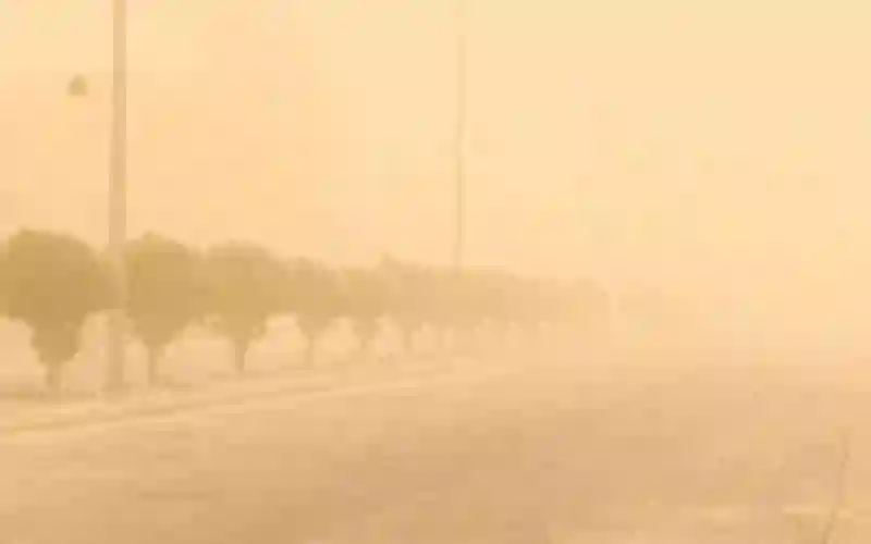 الأرصاد تحذر من موجات غبار كثيفة على الشرقية ولسكان الرياض الزمو بيوتكم من الحر والغبار الى هذا التاريخ 