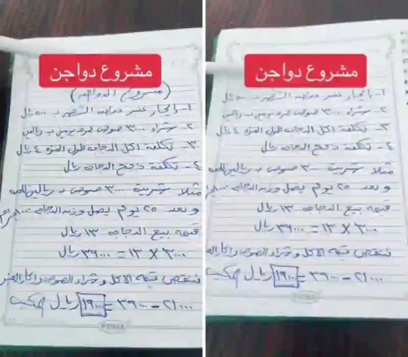 كم يكسب أصحاب مشاريع الدواجن في السعودية؟ 