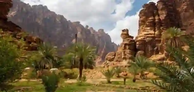 كم عدد السكان في حائل وكم سعوديين وكم أجانب في 2024؟