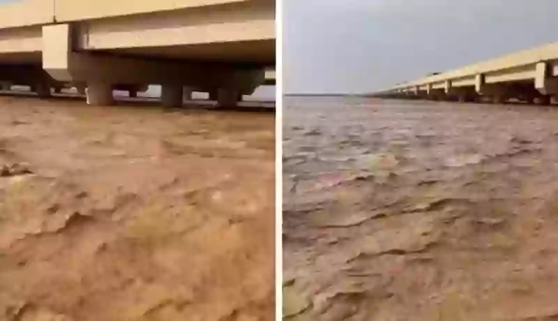 فيديو مهيب لحظة فيضان "وادي الرمة" بعد أمطار غزيرة 