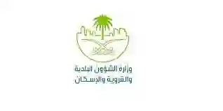 البلديات تحدد الاشتراطات الجديدة لعربات البيع المتجولة وشرط أساسي جديد للبيع بالقرب من محطات البنزين