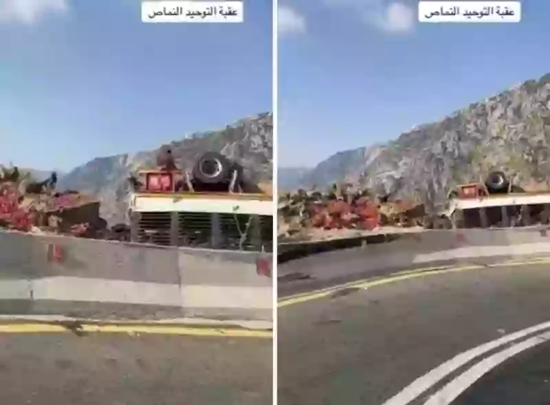 هجوم القردة على شاحنة طماطم بعقبة التوحيد بالنماص السعودية