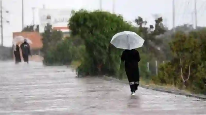 تحذيرات عاجلة من الأرصاد من استمرار الضباب والأمطار على هذه المناطق في المملكة 