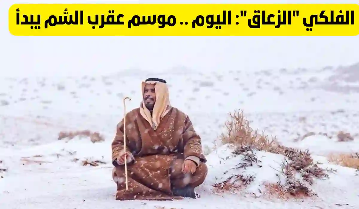 موسم العقارب.. متي يبدأ موسم عقرب السم في السعودية 1445 ومتي ينتهي؟