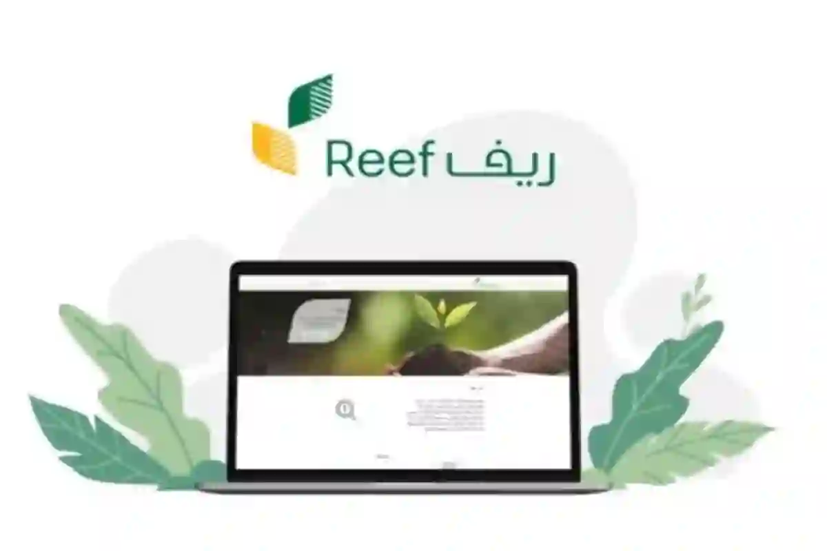 إعلان هام للمستفيدين من دعم ريف لشهر أغسطس 2024