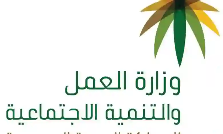 المديرية العامة للجوازات تكشف عن حالات الاعفاء من رسوم نقل الكفالة وتكشف عن قيمة رسوم نقل الكفالة الجديدة في 2024 