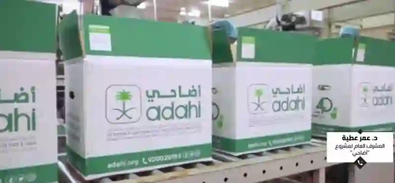 فيديو من الواقع يوضح أسعار الاضاحي في الرياض وجدة ومكة والمدينة في موسم حج 1445 والحري يسجل رقم فلكي 