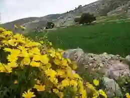 وداعا لفصل الشتاء.. الأرصاد الجوية تحدد موعد بداية فصل الربيع 1445