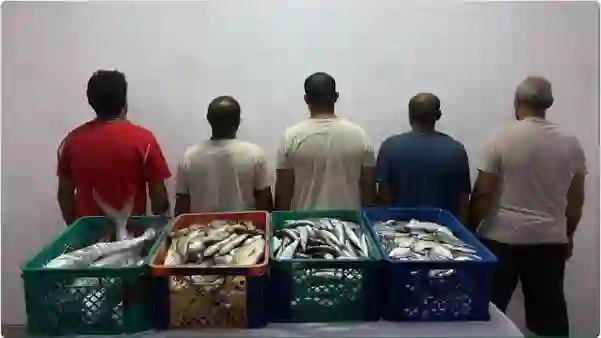 عاجل: السعودية تبدأ القبض على المصريين بسبب ما يحدث في البحر الأحمر 