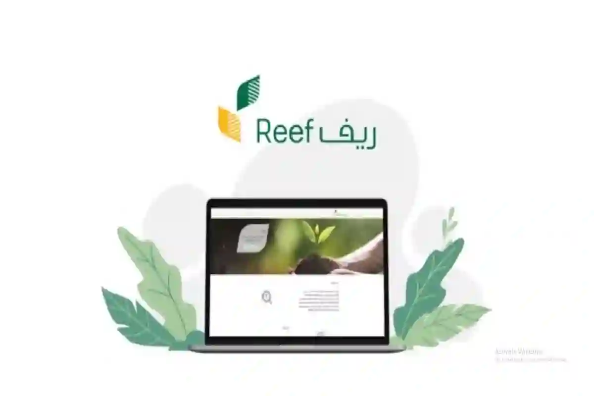 برنامج ريف يعلن وقف الدعم عن آلاف المستفيدين بعد بدء تطبيق هذا الشرط الذي لم ينتبه له الكثيرون 
