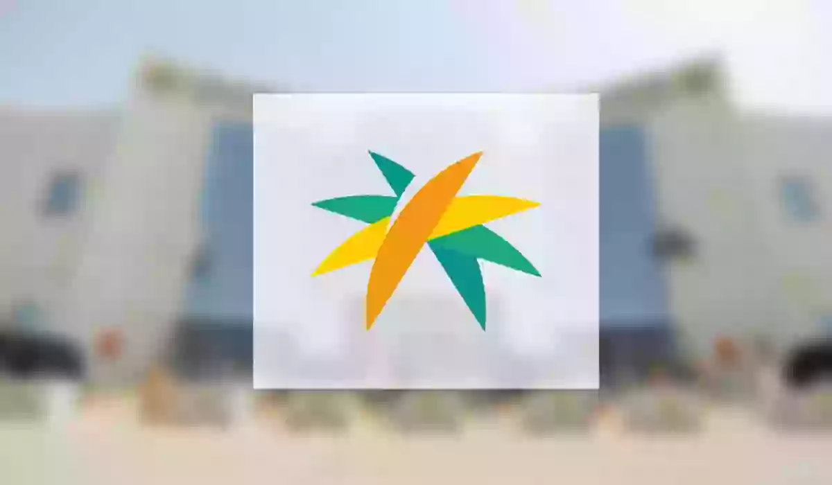  التخصصات المطلوبة في برنامج جدير المنتهي بالتوظيف