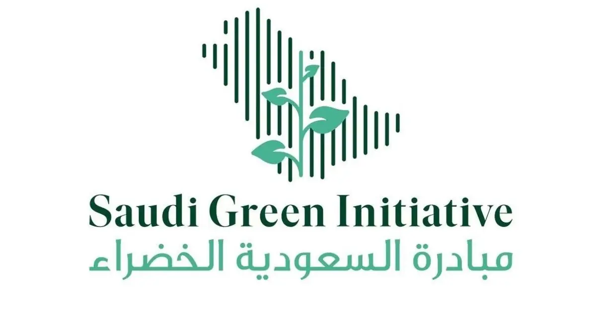 السعودية: قرارات جديدة تسهل امتلاك السيارات الكهربائية وتضيق الخناق على سيارات الاحتراق الداخلي 