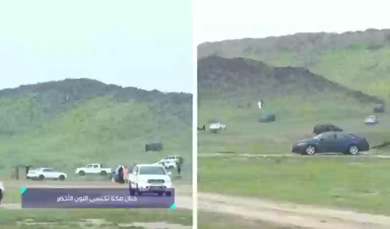 فيديو مهيب من جبال مكة بعد اكتساءها باللون الاخضر بسبب الأمطار الغزيرة 