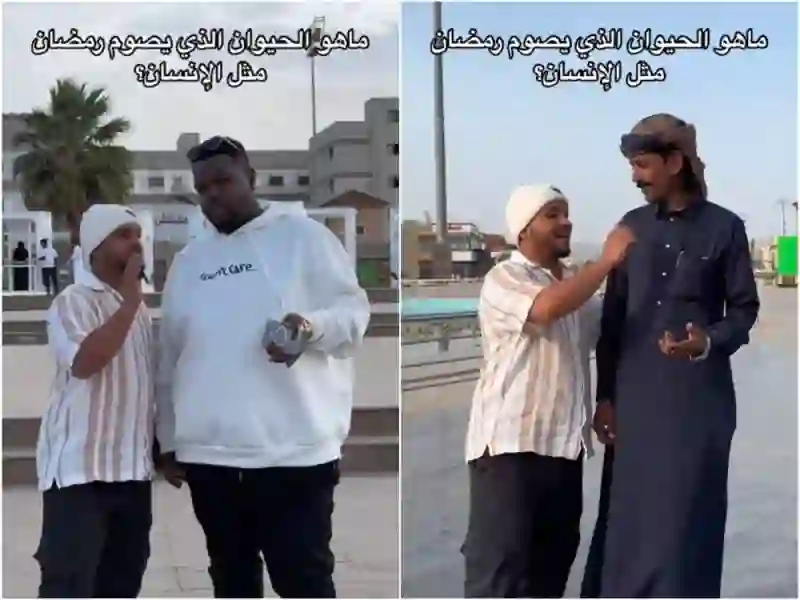 وش الحيوان اللي يصوم رمضان زي الانسان؟ فيديو اجابات من شوارع الرياض بتصدمك 