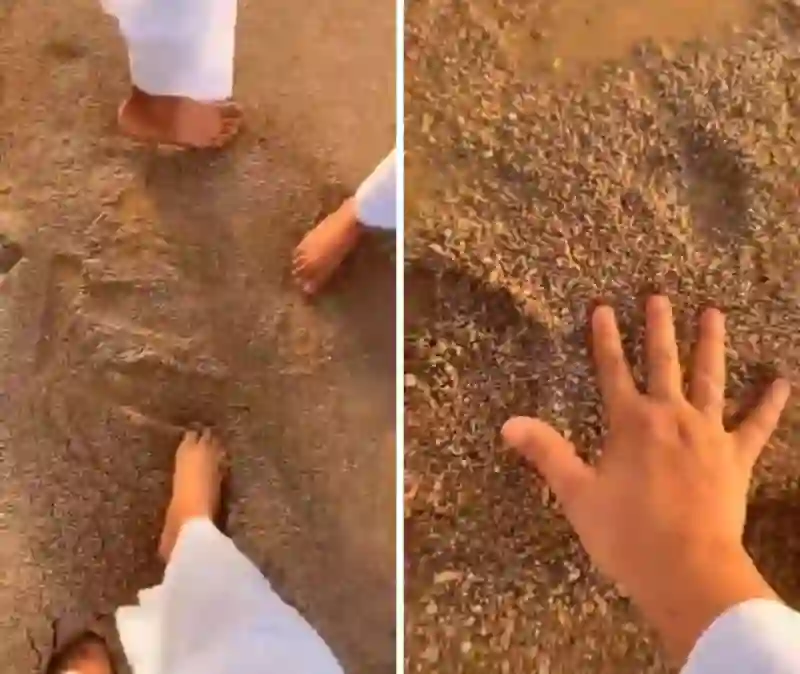 ظاهرة فريدة تذهل المشاهدين: شاهد كيف تتحرك رمال الصحراء السعودية ككائن حي تحت وطأة المطر الغزير!