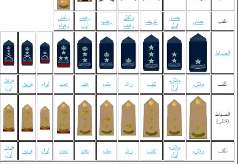عاجل: أكثر من الفين رتبة عسكرية رفيعة في قبضة الدولة في العاصمة الرياض في عملية نوعية الليلة 