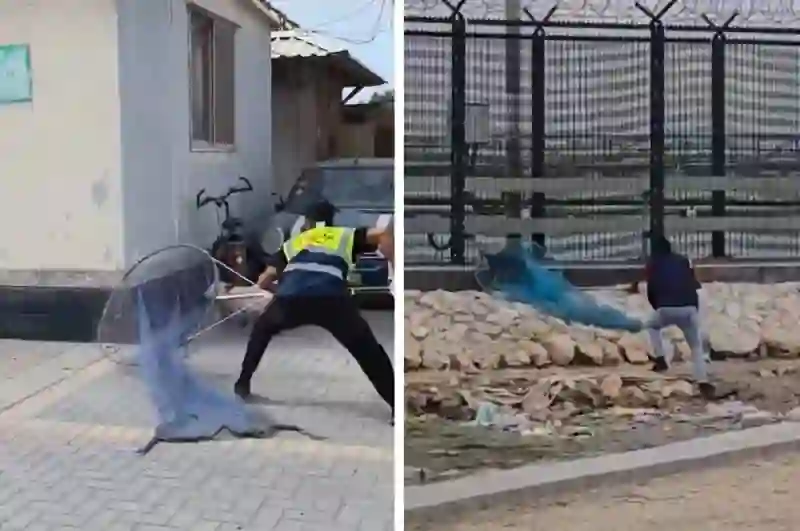 فيديو استخدام الشباك للتخلص من الكلاب الضالة في السعودية والمقطع يثير الجدل بسبب هذا الجزء الأخير 