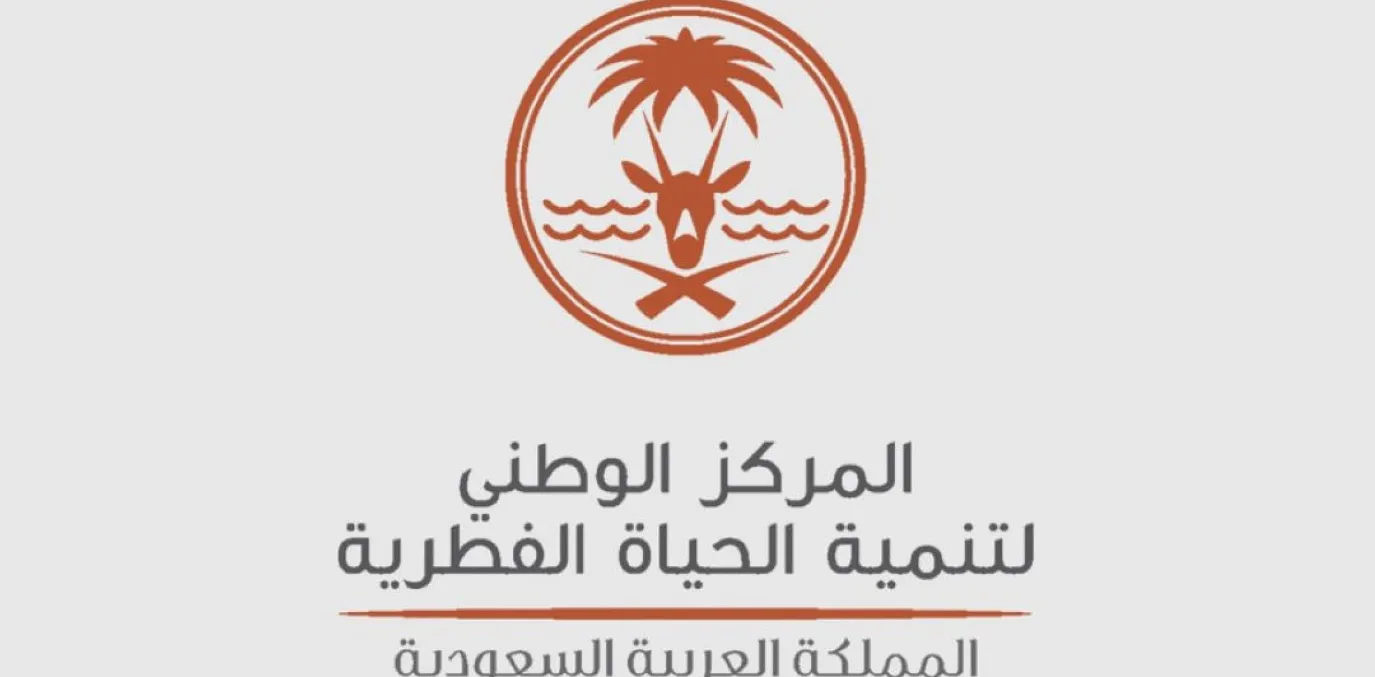 الحياة الفطرية تعلن وصول أعداد كبيرة من القرود للرياض لأول مرة وتحذر من خطرها وتكشف عن الاجراءات التي ستتخذها
