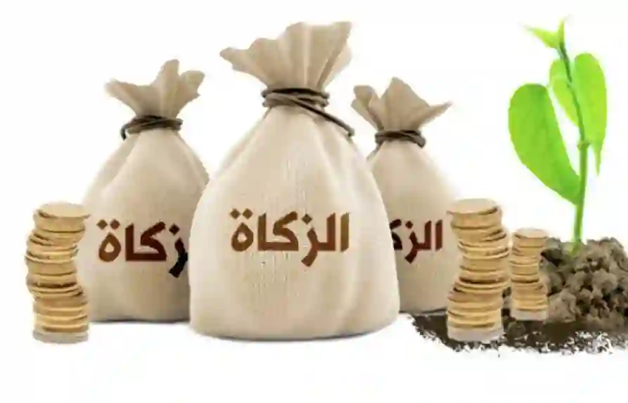 هل يجوز إخراج زكاة الفطر من فلوس القرض الشخصي أو السلفة؟