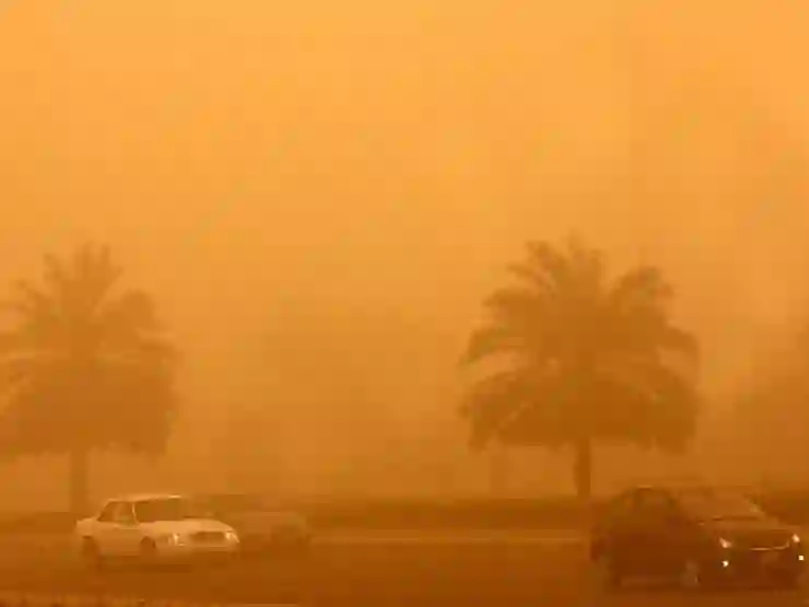 في ظاهرة نادرة الرياض وتبوك والقريات ستشهد الفصول الأربعة في يوم واحد بحلول هذا التاريخ 