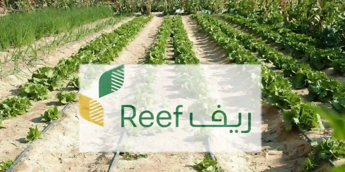 إنشاء حساب جديد في منصة دعم ريف وشروط الاستفادة من الدعم