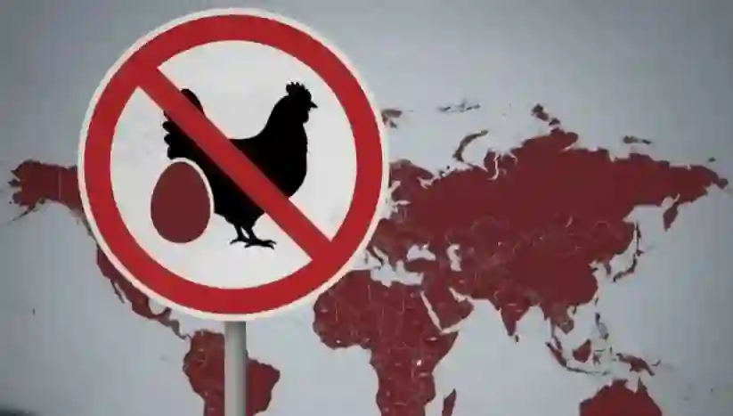 حصري ونقلاً عن عكاظ .. السعودية تحذر من شراء او تناول انواع من البيض والدواجن وهيئة الغذاء تكشف سبب القرار 