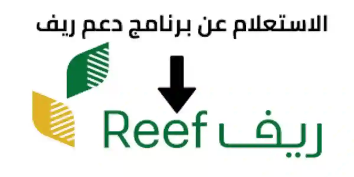 خطوات الاستعلام عن أهلية دعم ريف برقم الهوية وشروط استحقاق دعم صغار مربي الماشية