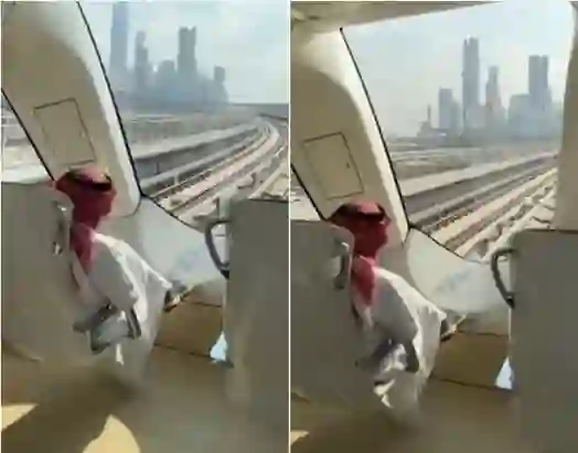 فيديو يوضح السرعة الكبيرة لقطار الرياض وكيف يقطع المسافات التي كانت تستغرق ساعات بسبب الزحمة خلال دقائق 