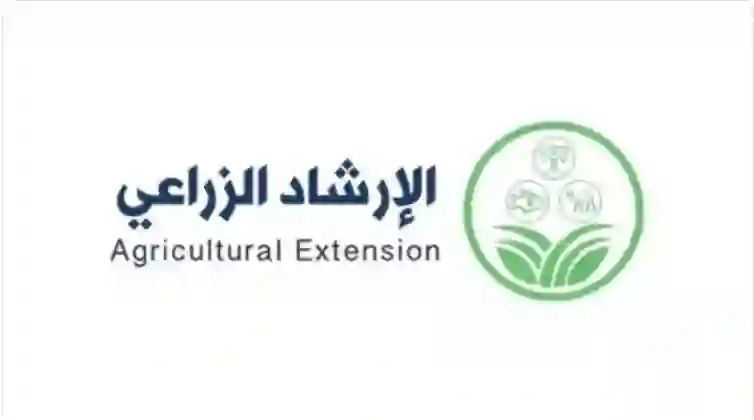 وش قصة تحول الطماطم في السعودية للون الاصفر بدل الاحمر وهل الطماطم الاصفر ضار؟