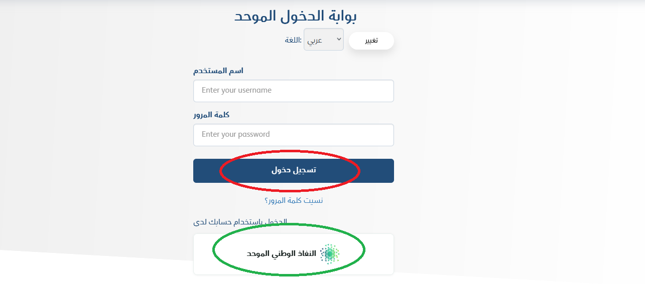 رابط جامعة حائل